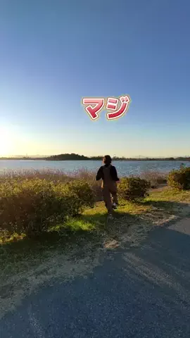 旅びとキャンパーまいのTikTok投稿