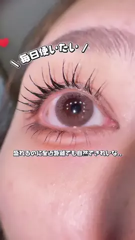 ヌンちゃんのTikTok投稿