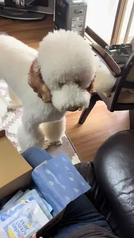 Uru坊🐻‍❄️🦴のTikTok投稿
