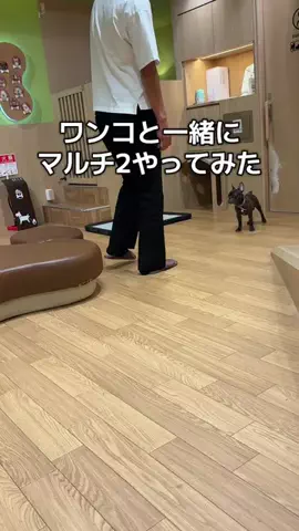 🐲りゅうき⚾️のTikTok投稿