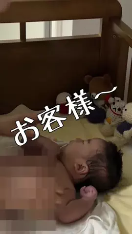 最高の相棒と飾らない日常のTikTok投稿