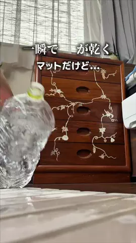 たん/ラクして整う垢抜け生活のTikTok投稿