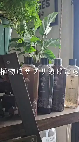 cynos5820/賃貸DIYのTikTok投稿