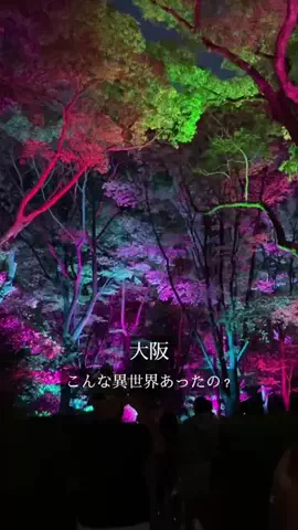 あべかな｜世界大会挑戦中のTikTok投稿