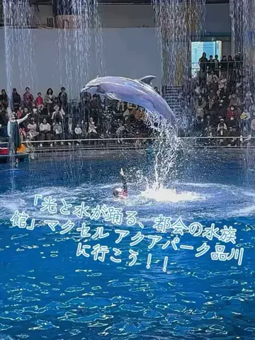 寝不足夜更かしバリトンのTikTok投稿