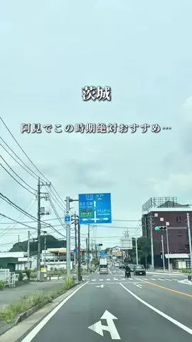 そら/つくば発の週末デート・お出かけのTikTok投稿