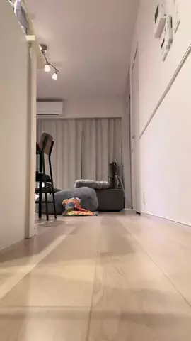 むぎちゃの日常のTikTok投稿