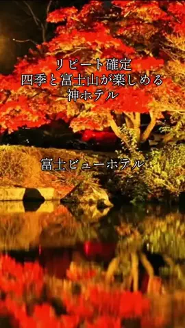 旅ログ〜映え×コスパ旅行のTikTok投稿