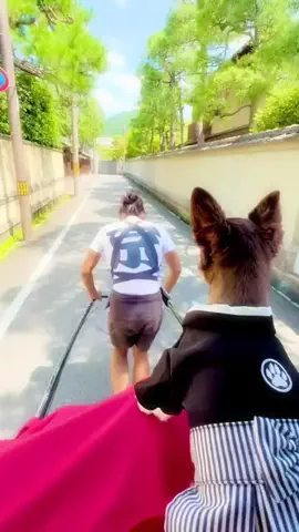 踊ちゃんのTikTok投稿