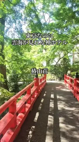 旅ログ〜映え×コスパ旅行のTikTok投稿
