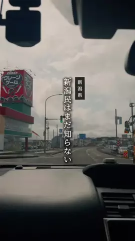 がたうぉーかー【新潟グルメ/スポット】のTikTok投稿