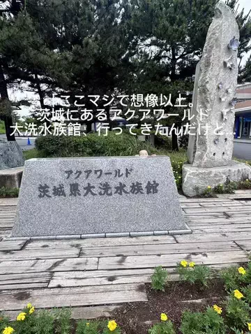 夜によりそう心のTikTok投稿