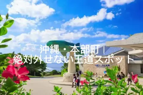 夜によりそう心のTikTok投稿