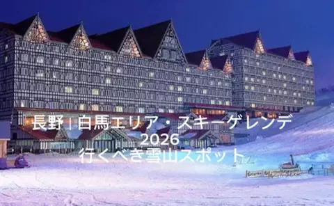 夜によりそう心のTikTok投稿