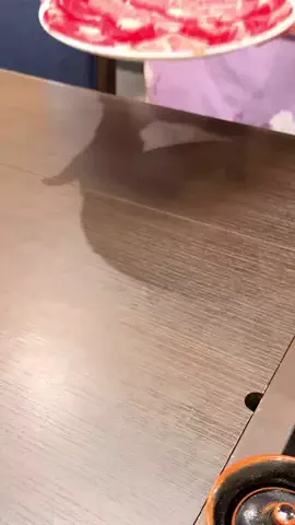 ぎゃらぴかのTikTok投稿