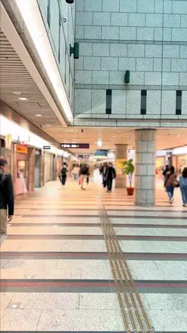 ぎゃらぴかのTikTok投稿