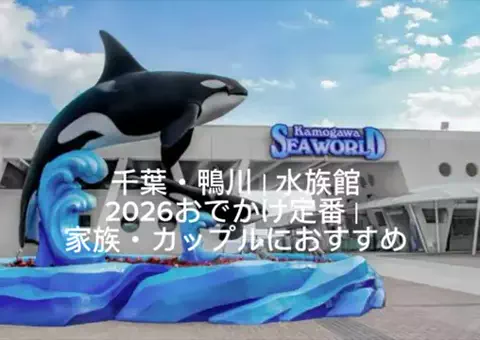 夜によりそう心のTikTok投稿