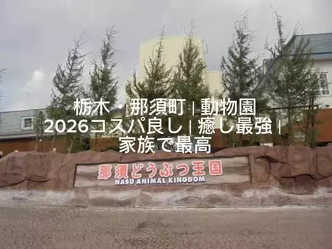夜によりそう心のTikTok投稿