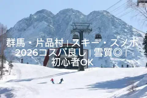 夜によりそう心のTikTok投稿
