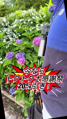 たつみのTikTok投稿