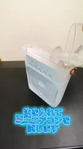 たつみのTikTok投稿