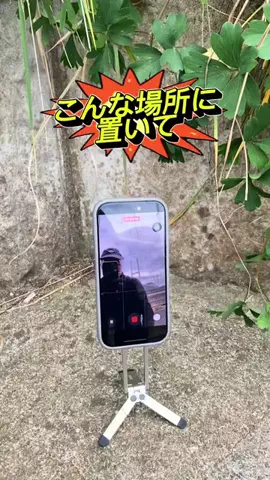 たつみのTikTok投稿