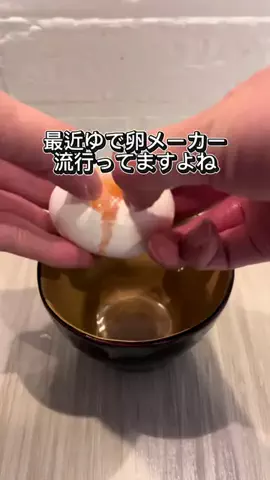 ひぐまクックのTikTok投稿