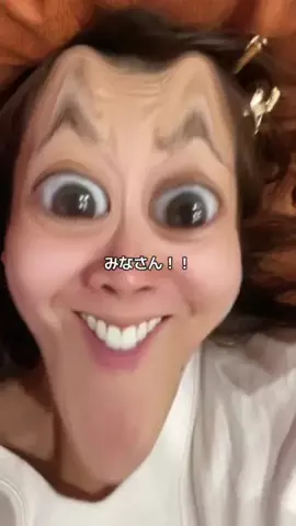 タコタコ山の狸さんのTikTok投稿