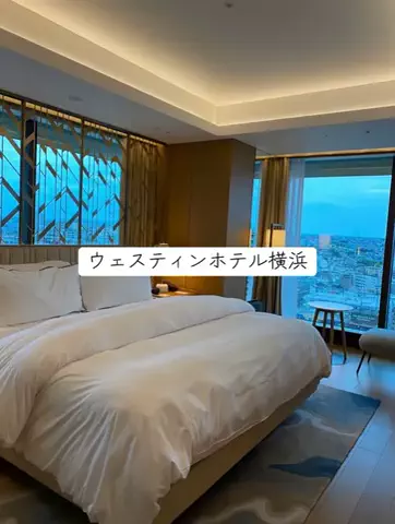 ホカンス日記 🌿のTikTok投稿