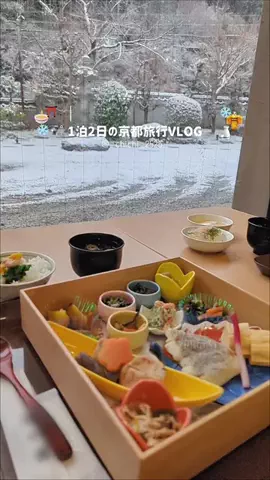 となりのチチのTikTok投稿