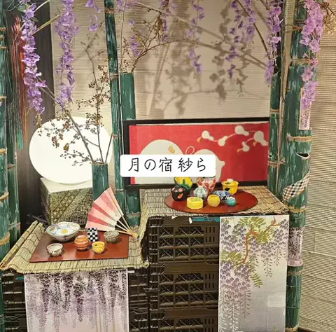 ホカンス日記 🌿のTikTok投稿