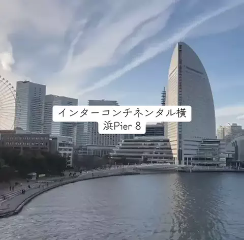 ホカンス日記 🌿のTikTok投稿