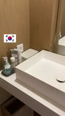 nekkorea(ねっこりあ) | リアルな韓国ガイドブックのTikTok投稿