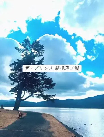 ホカンス日記 🌿のTikTok投稿
