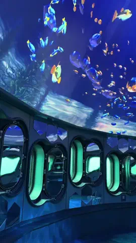みゆのTikTok PR投稿：佐賀県唐津市にある「玄海海中展望塔」。 波戸岬から100m…