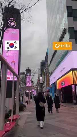 nekkorea(ねっこりあ) | リアルな韓国ガイドブックのTikTok投稿