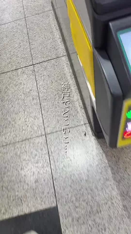 なおりん【神戸おでかけグルメ】のTikTok投稿