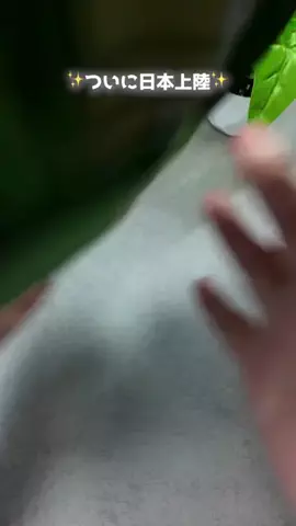 @beautyandmoreのTikTok投稿