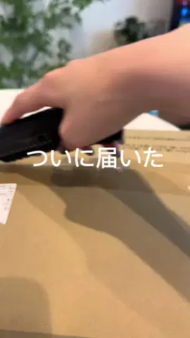 B型女子のTikTok投稿