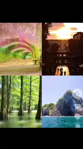 コウタ@九州ゆる旅案内のTikTok投稿