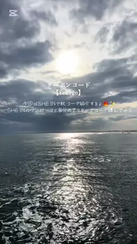いちごのTikTok投稿