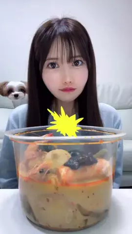 ゆでたまご🥚のTikTok投稿