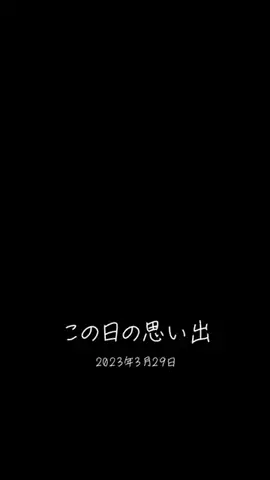 Skydaruma(ダルちゃん)のTikTok投稿