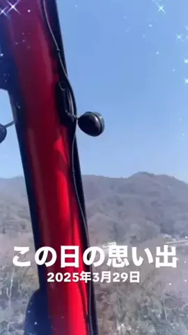 Skydaruma(ダルちゃん)のTikTok投稿
