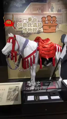 Skydaruma(ダルちゃん)のTikTok投稿