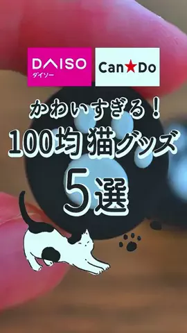 Pocha.SangodietのTikTok投稿