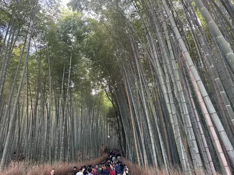 けん_限界サラリーマンのTikTok投稿