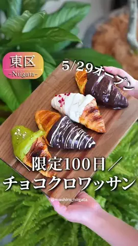 ましろ│新潟グルメ・新潟カフェ巡り🫖🍃のTikTok投稿