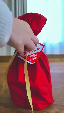 Pocha.SangodietのTikTok投稿
