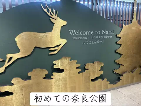 けん_限界サラリーマンのTikTok投稿
